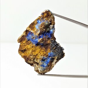 May include: A rough, brown rock with streaks of blue azurite crystals. The rock is being held by tweezers.