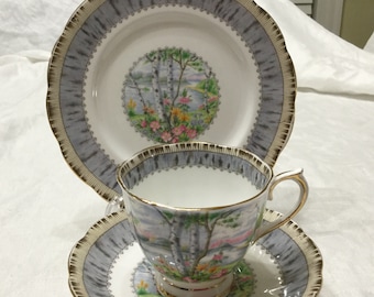 Scenic Royal Albert "Silver Birch" Trio