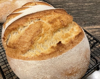 Dehydrierte Sauerteig Starterkultur: Langlebig, glutenred und natürlich