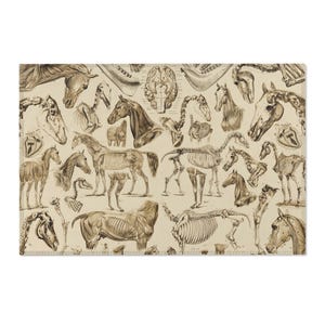 Equestrian Lover Area Rugs - Beige