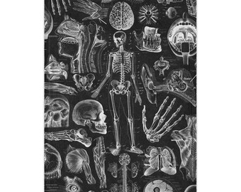 Anatomy Skeleton Pattern Minky Blanket | X-ray Bones Throw