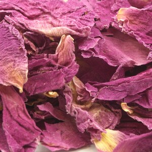 May include: Close-up of dried rose petals. The petals are a deep magenta color with hints of yellow and tan at the edges. The petals have a delicate, textured appearance, and are slightly curled. The image suggests a natural, botanical theme.