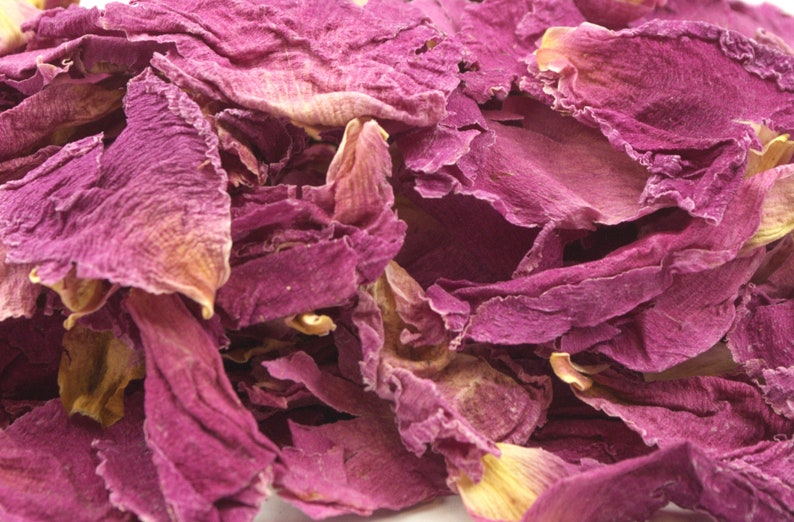 May include: Close-up of dried rose petals. The petals are a deep magenta color with hints of yellow and tan at the edges. The petals have a delicate, textured appearance, and are slightly curled. The image suggests a natural, botanical theme.
