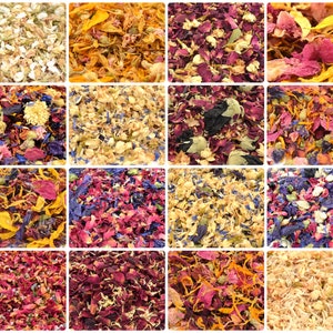 Scegli i tuoi coriandoli! 30 tipi di petali di coriandoli biodegradabili al 100%, pacchetti di coriandoli naturali per matrimoni - Coriandoli ecologici Coriandoli naturali 1L