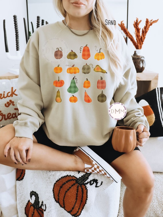 Cute Pumpkin Sweatshirt Gourd Sweater Thanksgiving Sweatshirt Minimal Pumpkin Sweater Gourd Sweatshirt Fall Sweatshirt Thanksgiving Sweater