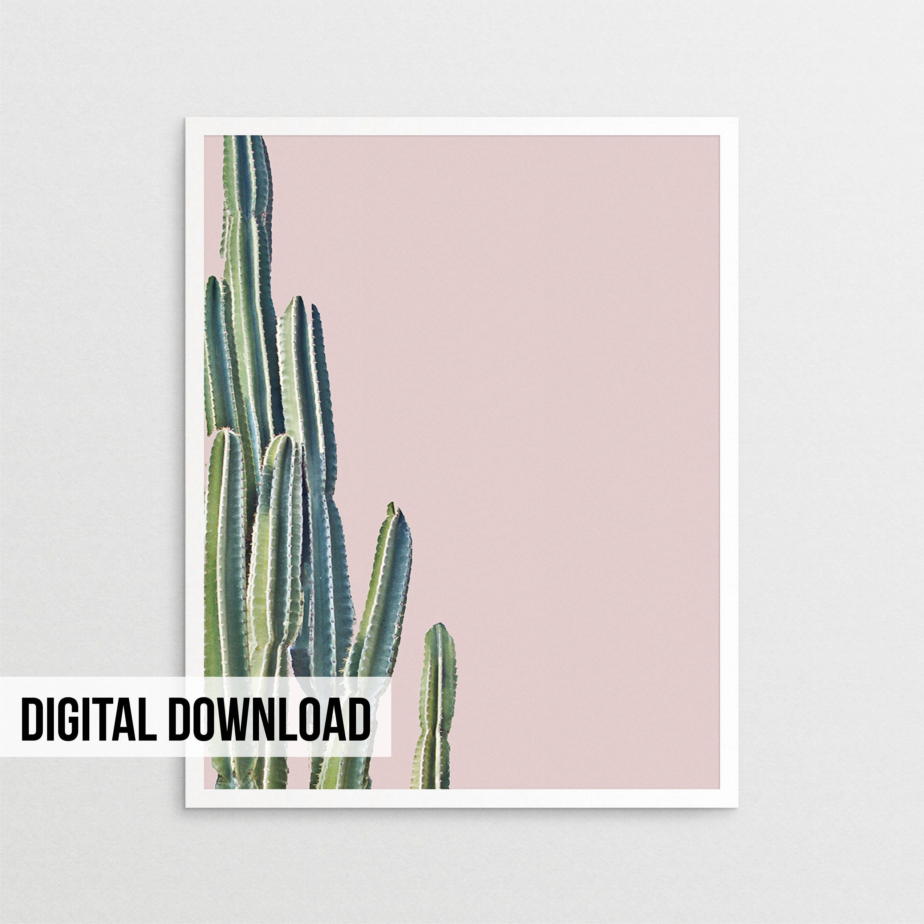 Cactus Wall Art Pastel Pink Print Digital Download Blush Etsy
