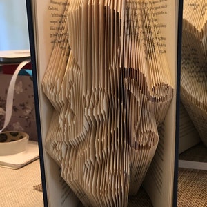 Octopus book art