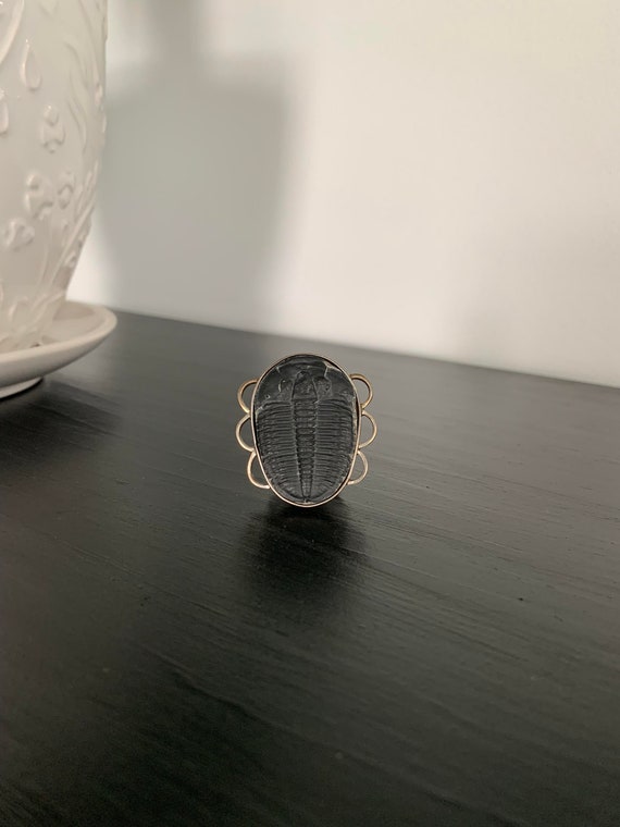 Trilobite Fossil Set in 925 Sterling Silver Brooch