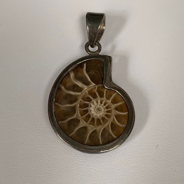 Fossilized Gastropod (Snail) Ammonite Fossil Pendant Set in 925 Sterling Silver - Great Gift Idea