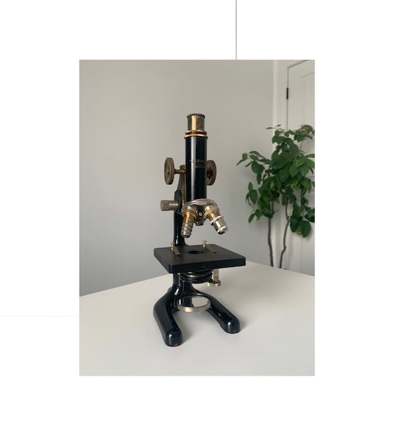 Antique Reichert of Austria - Microscope with Wooden Carrying Case - Fixed Shipping Cost