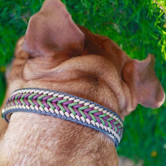 1 5/8 Wide Thick Paracord Dog Collar 