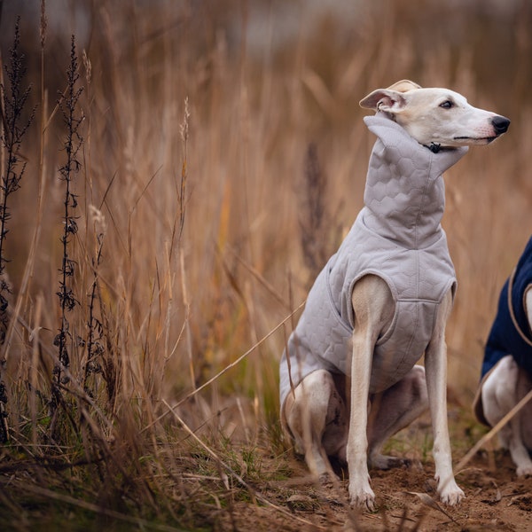 Grey waterproof winter coat for whippets, sighthounds and other dogs