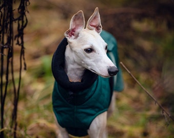 Waterproof winter coat for whippets, sighthounds and other dogs