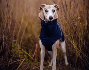 Navy blue waterproof winter coat for whippets, sighthounds and other dogs