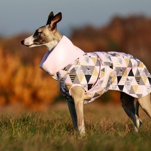 Waterproof winter coat for whippets, sighthounds and other dogs image 1
