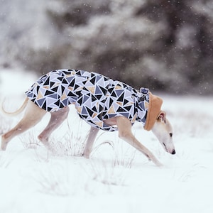 Blizzard whippet coat store