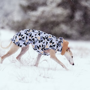 Waterproof winter coat for whippets, sighthounds and other dogs image 1