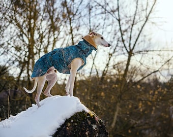 Waterproof winter coat for whippets, sighthounds and other dogs