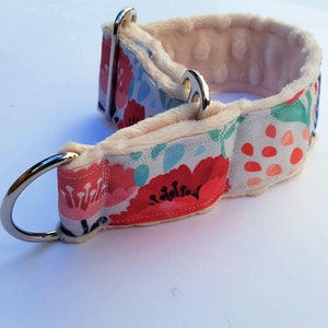 Beautiful & sturdy collar for whippets, sighthounds and other dogs
