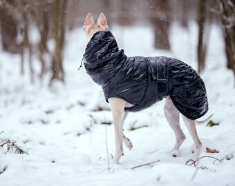 Black patent warm, waterproof winter coat for whippets, sighthounds and other dogs