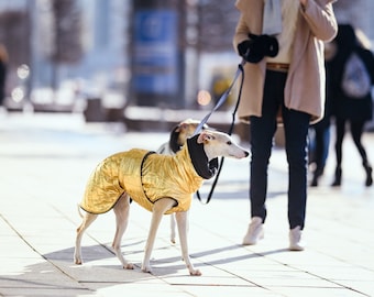 Gold patent warm, waterproof winter coat for whippets, sighthounds and other dogs