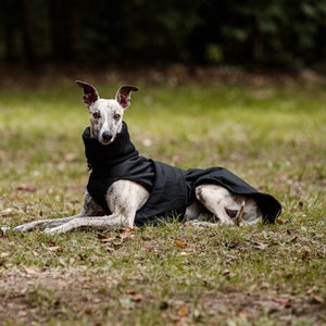 Manteau d'hiver imperméable noir pour whippets, lévriers et autres chiens image 2