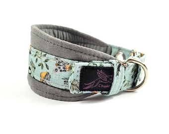 Greyhound collar / whippet collar / Italian Greyhound collar