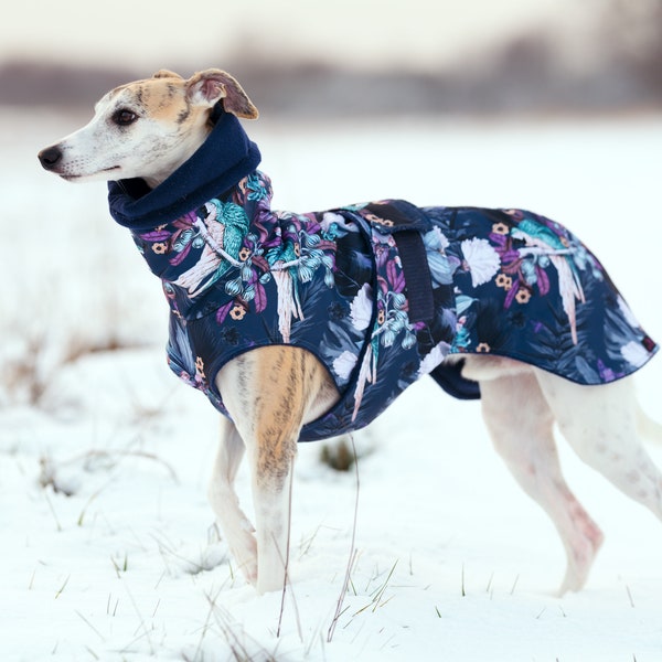 Waterproof winter coat for whippets, sighthounds and other dogs