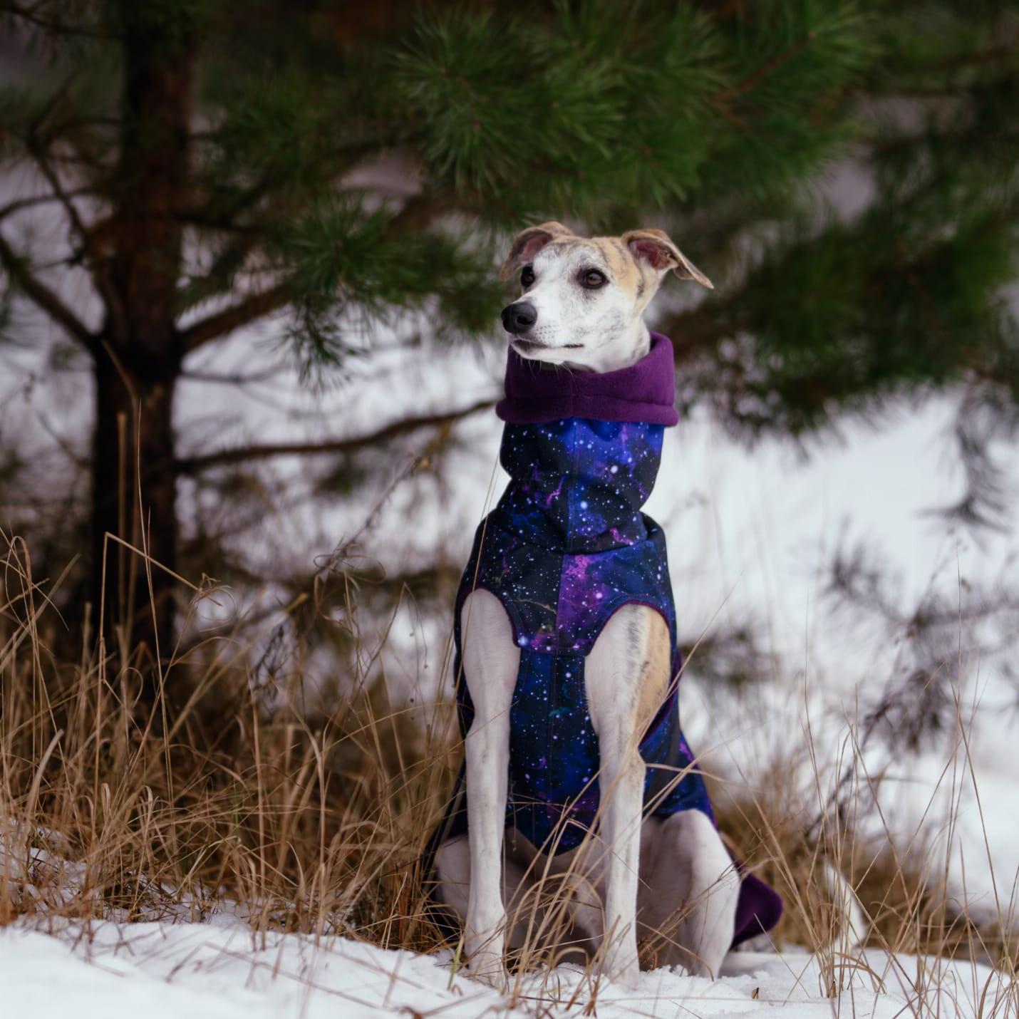 Whippet Regenmantel mit Loch für Harness Carlisle style