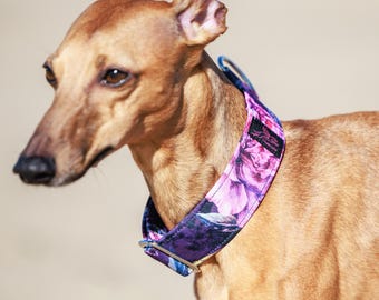 Beautiful & sturdy collar for whippets, sighthounds and other dogs