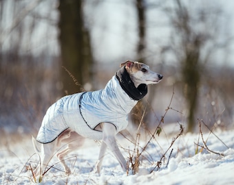 Silver patent warm, waterproof winter coat for whippets, sighthounds and other dogs