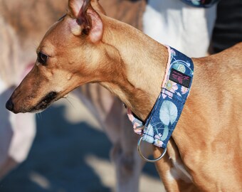Beautiful Sturdy Collar for Whippets, Sighthounds and Other Dogs