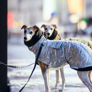 Silver patent warm, waterproof winter coat for whippets, sighthounds and other dogs
