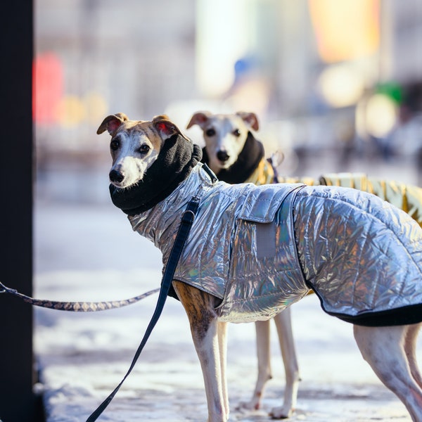 Silberfarbener Patent warmer, wasserdichter Wintermantel für Whippets, Windhunde und andere Hunde