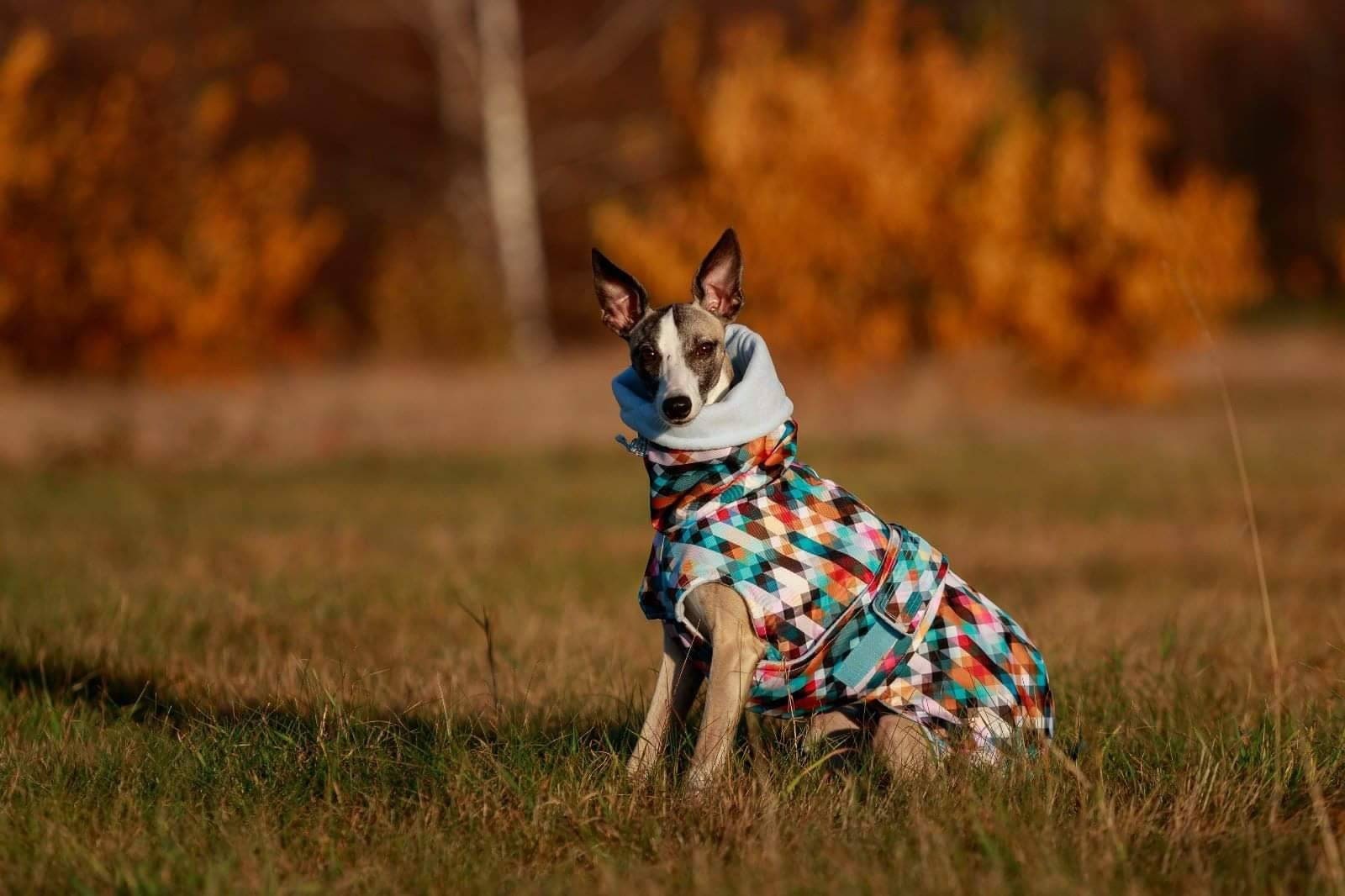 Pet Hinten Reihe Auto Wasserdichte Hund Pad Auto Wasserdicht