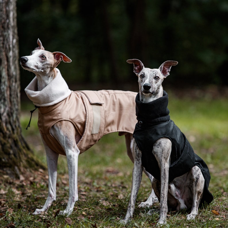 Manteau d'hiver imperméable noir pour whippets, lévriers et autres chiens image 8