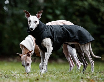 Black waterproof winter coat for whippets, sighthounds and other dogs