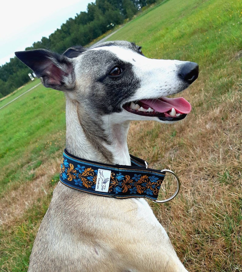 Beautiful & Sturdy Collar for Whippets Sighthounds and Other Etsy