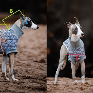 Manteau d'hiver imperméable pour whippets, lévriers et autres chiens image 7