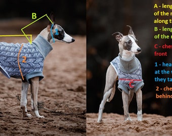 Acheter Veste Greyhound manteau d'hiver grands vêtements trou de plomb  chien sweat à capuche épais