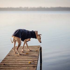 Manteau d'hiver imperméable bleu marine pour whippets, lévriers et autres chiens image 5