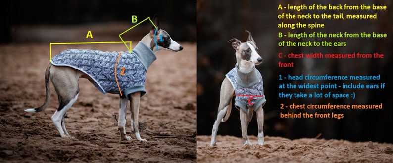 Waterproof winter coat for whippets sighthounds and other dogs