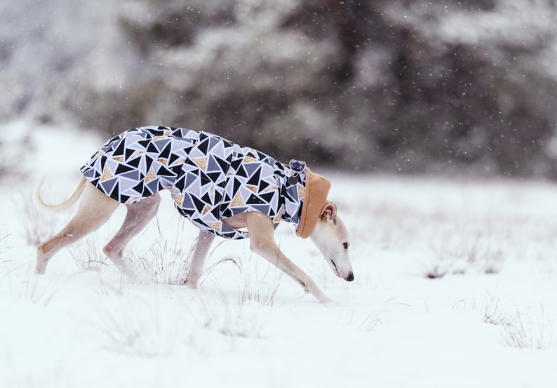 Waterproof winter coat for whippets, sighthounds and other dogs image 1