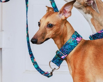 Beautiful & sturdy collar for whippets, sighthounds and other dogs
