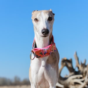 Hermoso y resistente collar para whippets, lebreles y otros perros Japón con rosa