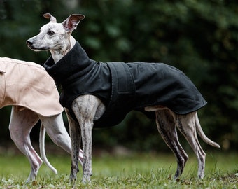 Black waterproof winter coat for whippets, sighthounds and other dogs