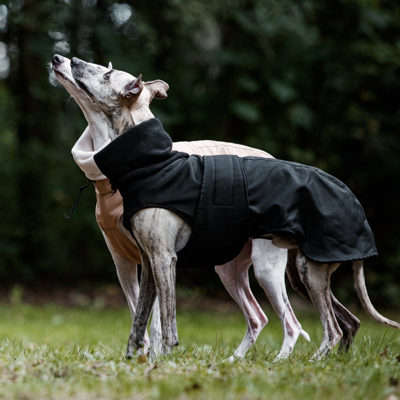 Manteau d'hiver imperméable noir pour whippets, lévriers et autres chiens image 3