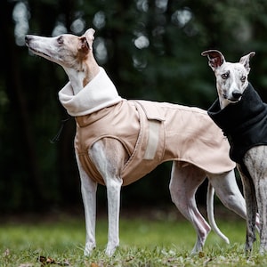 Waterproof winter coat for whippets, sighthounds and other dogs