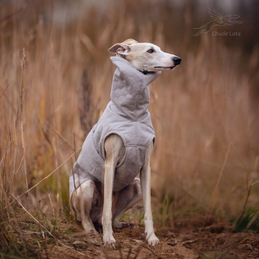 greyhound dog coat greyhound waterproof winter coat