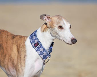 Beautiful & sturdy collar for whippets, sighthounds and other dogs
